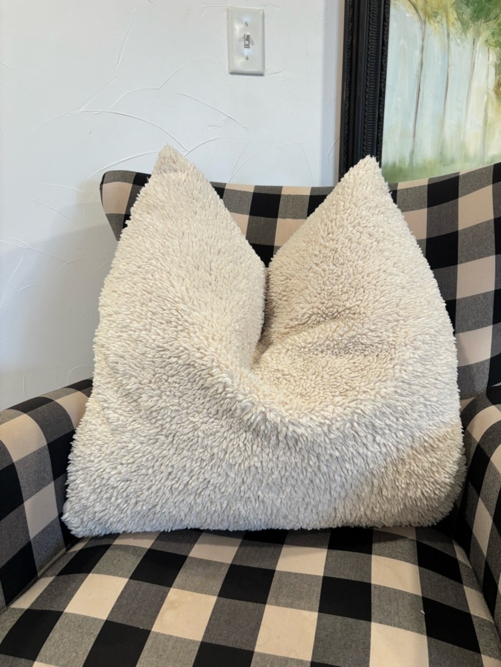 Pottery Barn Sherpa Throw Pillow with down feather insert 26 by 26 inches